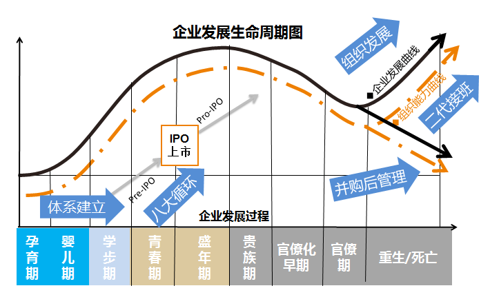 2O24管家婆一码一肖资料