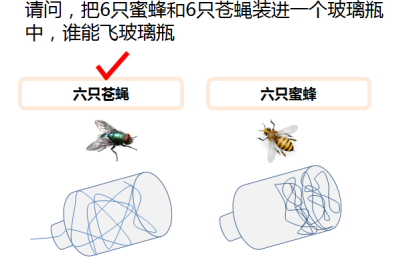 人力资源管理咨询